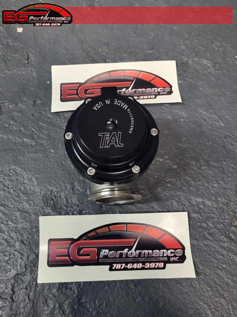 EG_wastegate02